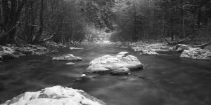 Reka Savinja (Foto: D. Turnšek)